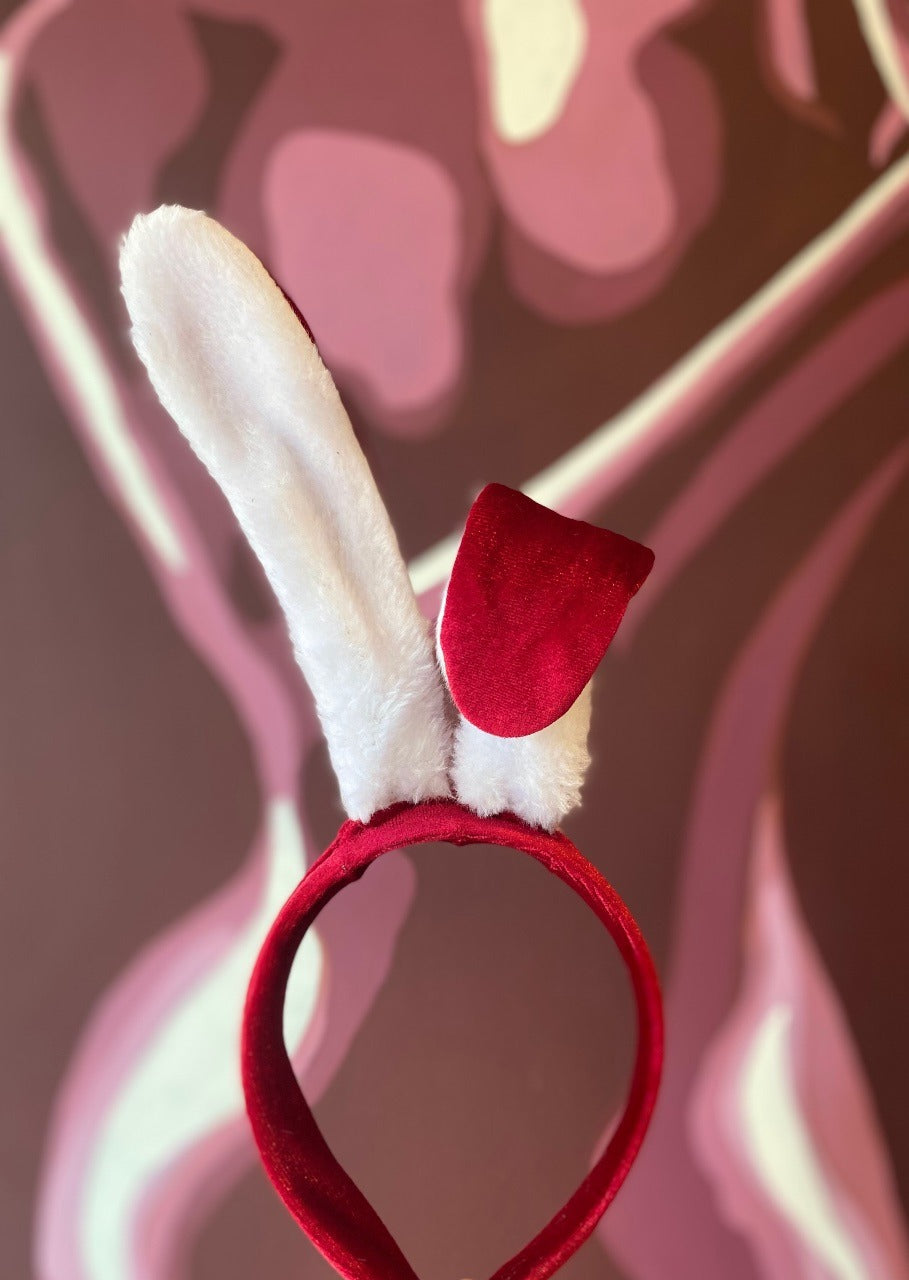 Conejita Santa